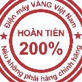 Logo dienmayvangvietnam