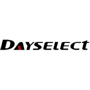 Logo DAYSELECT OFFICIAL STORE