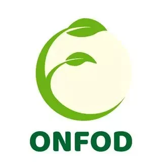 Logo ONFOD - THỰC PHẨM HỮU CƠ