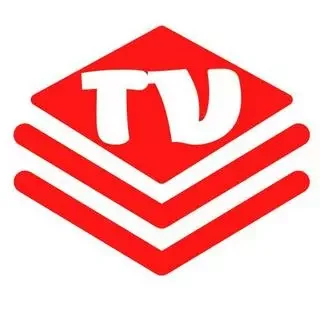 Logo Trí Việt Book