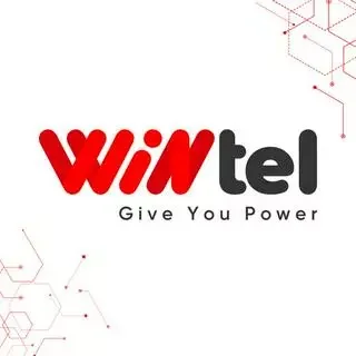 Logo Wintel Official Store